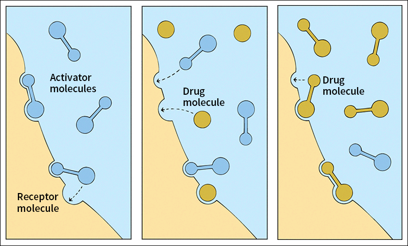 receptor theory