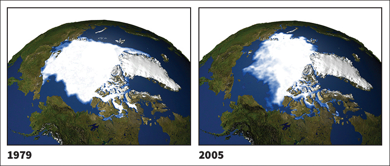 arctic ice