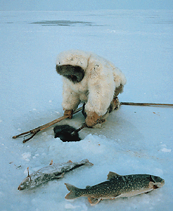 Inuit
