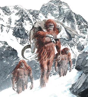 yeti