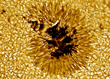 Sunspot