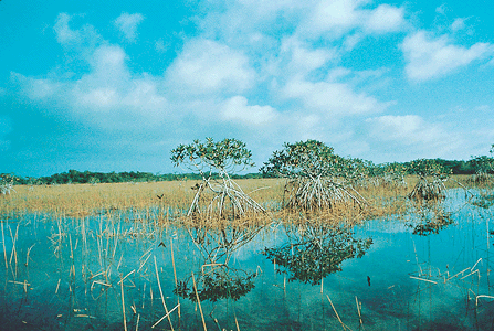 Everglades National Park