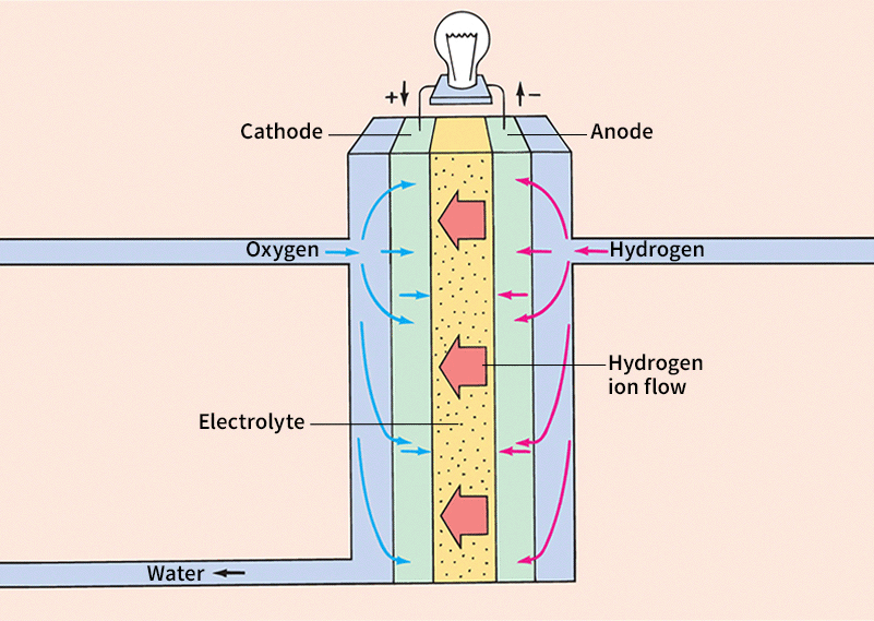 fuel cell