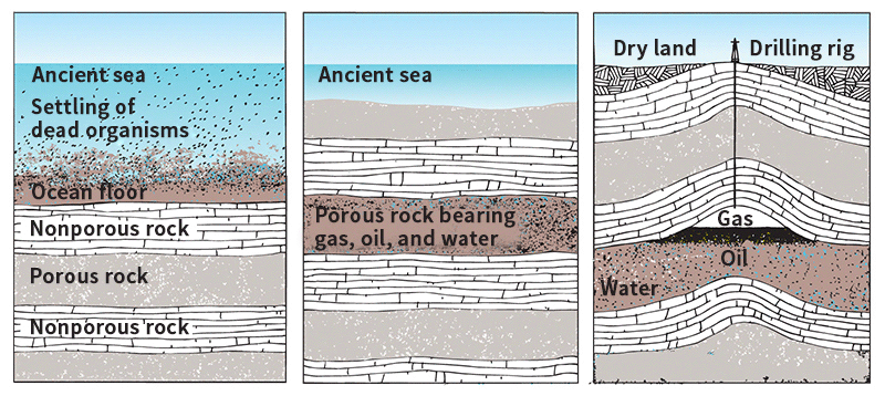 natural gas formation