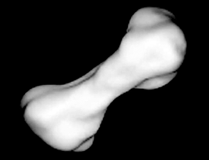 Kleopatra asteroid