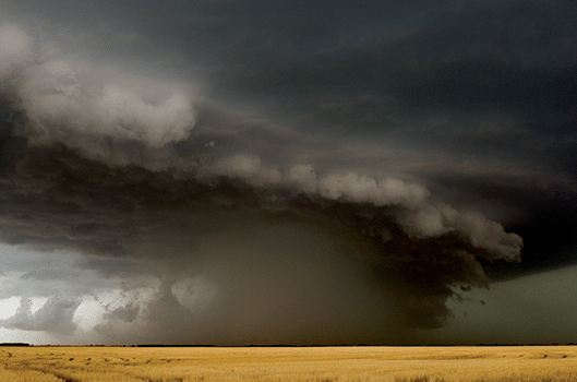 derecho