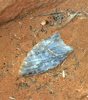 clovis points
