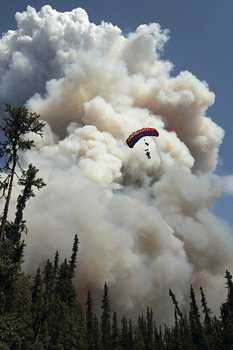 wildfire