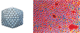 Sphere-shaped polio virus