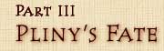 Pliny's Fate