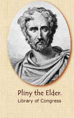 Pliny the Elder picture