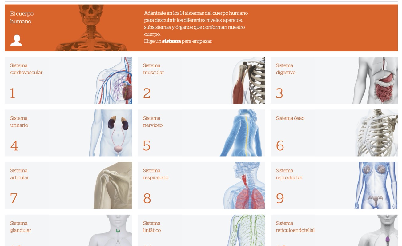 body systems