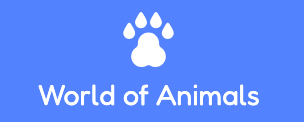 world of animals
