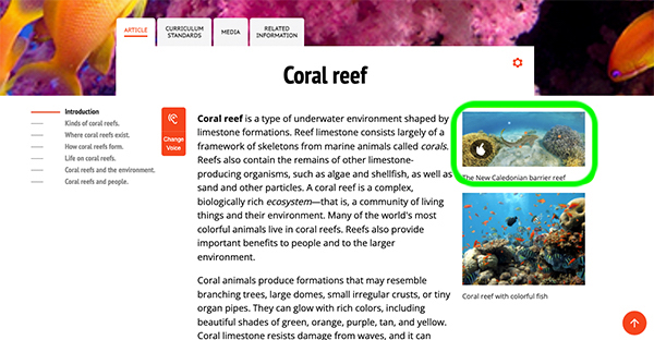 solar article sample