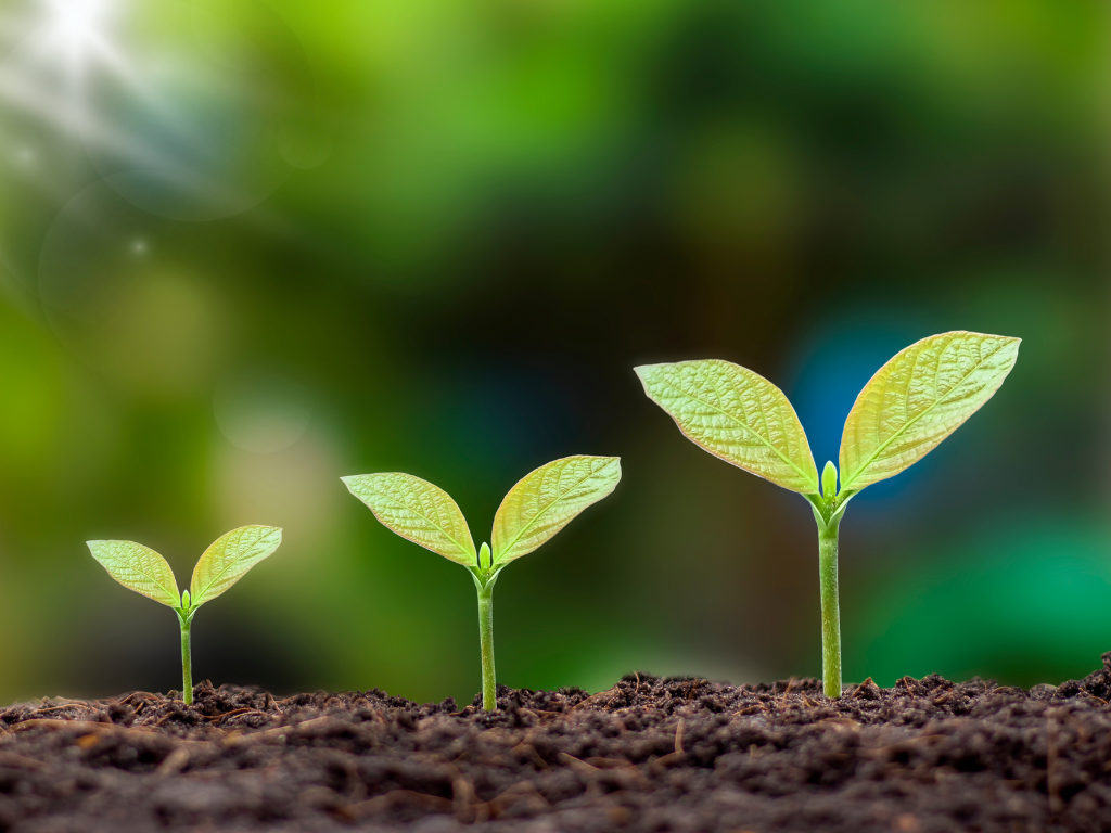 Screen of Science Projects in Kids